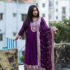 Premium Pakistani Catalogue Readymade Gown - Image 4